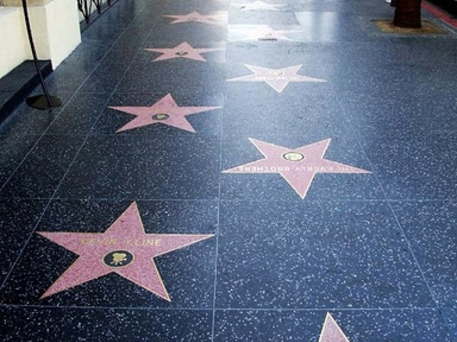 go to the hollywood walk of fame