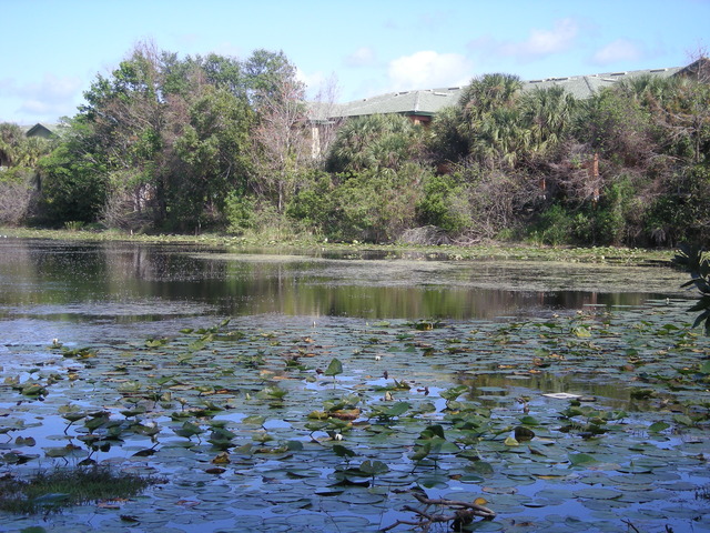 The Clean Water Act (CWA)