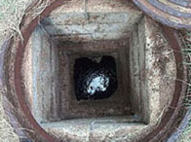 The Pollution Prevention Act