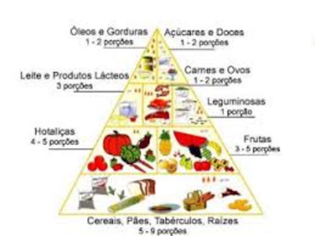 se clasifican las moléculas que forman a todos los seres vivos