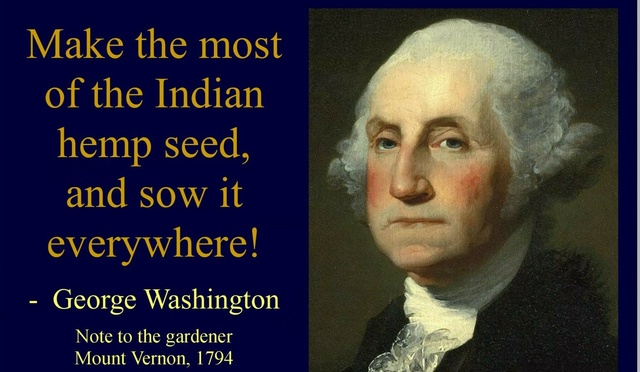 George washington and marijuana