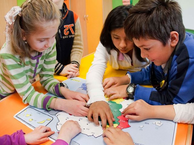 Creación de centros específicos.