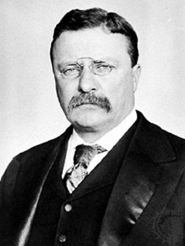 Theodore Roosevelt