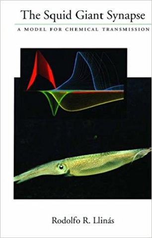 The Squid Giant Synapse