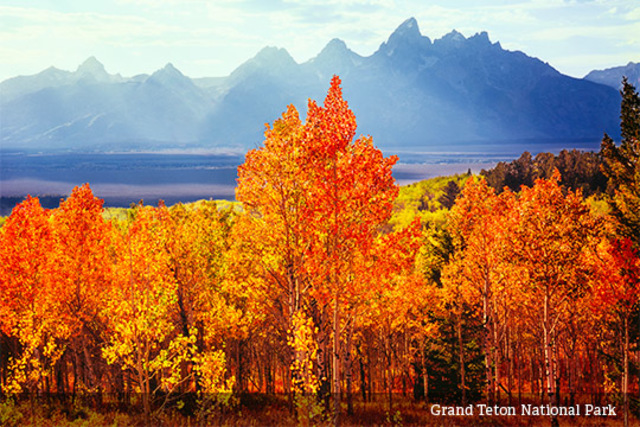 se aprueba el "National Park" que regula el manejo de los recursos naturales