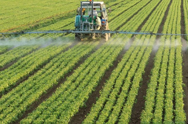 Sonng denuncia los efectos de los agroquimicos