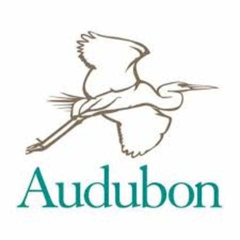 Creación de "Audobon Society"