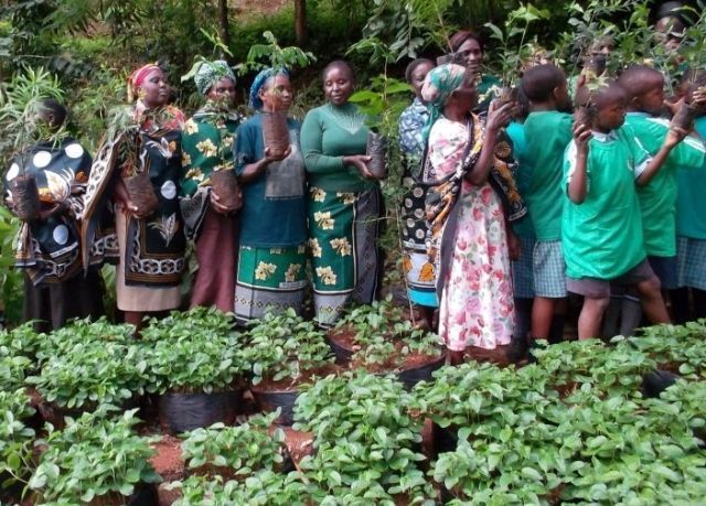 MOVIMIENTO GREEN BELT