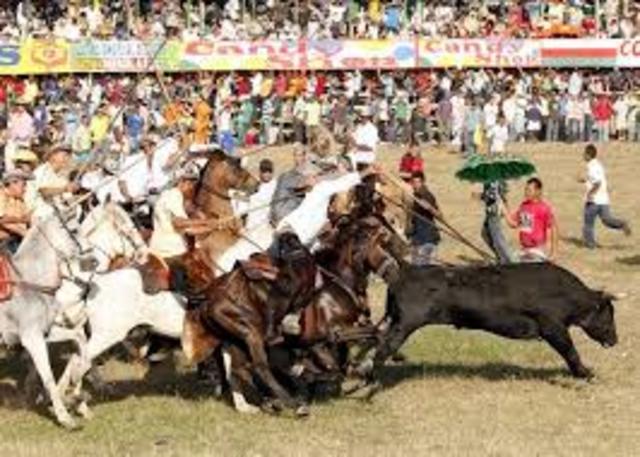 Creación de fiestas de corralejas