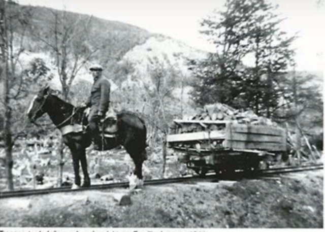 Aserradero 'La Argentina'