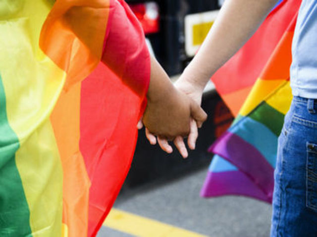 Orientación sexual e identidad de género, Resolución 17 de mayo de 2011.