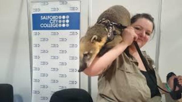 meet tutors and learning the ropes