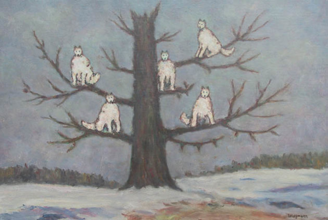 Dato curioso... Kraepelin