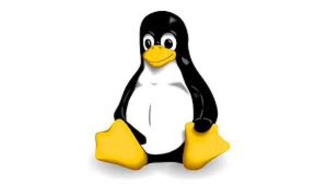 Nuevo sistema operativo