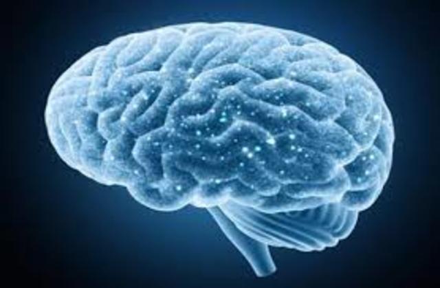 Características de organización II