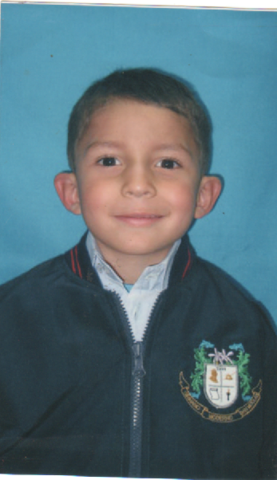 mi foto de transición