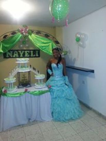 mis 15