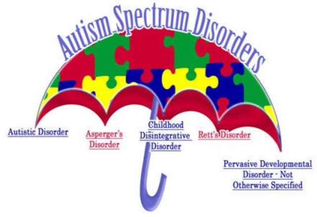 Autism Spectrum Categories