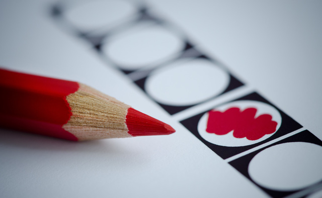 De V.S pleit voor verkiezingen