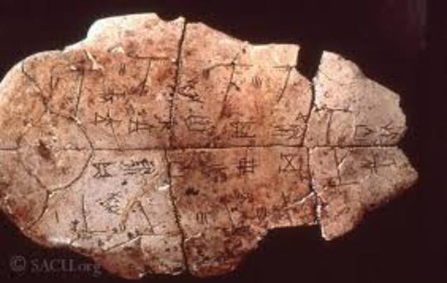 Oracle Bones