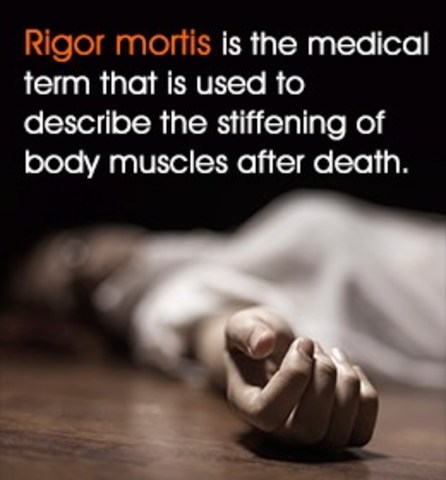 4 minutes after death