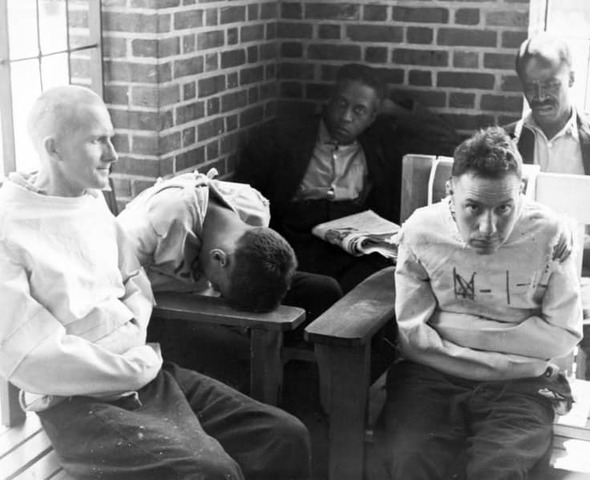 HACINAMIENTO ALIENADO