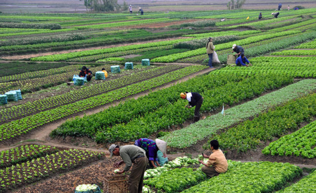 Transformation of agriculture