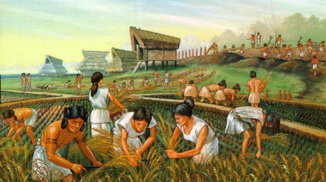 Agricultural activity