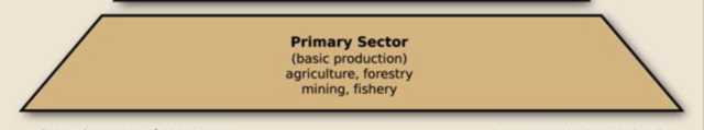 The primary sector