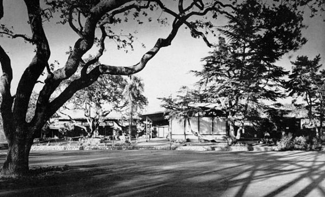 Director of the Center for Advanced Study in the Behavioral Sciences