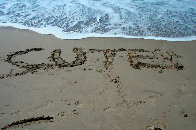Will Rogers State Beach Cleanup