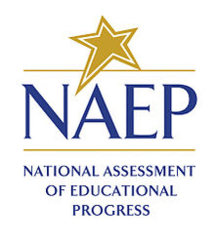 Finance Support for NAEP