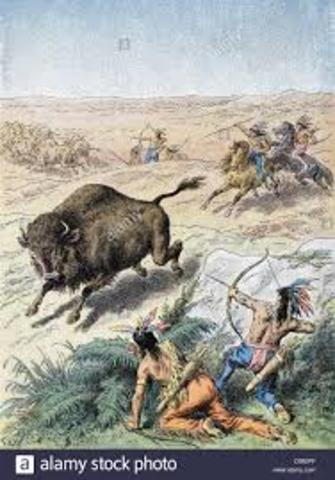 Different Native roles