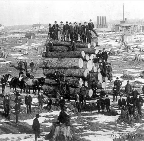 Expansion of timber economy