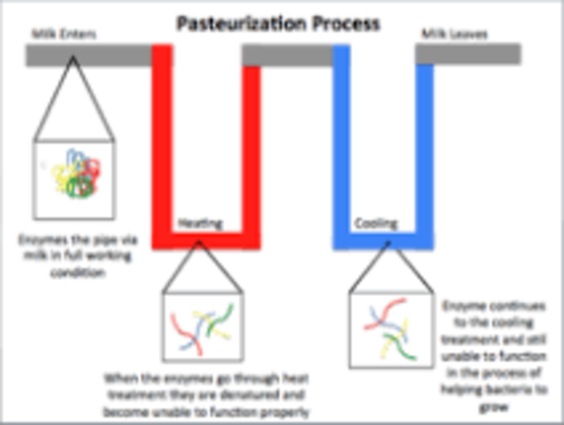 Louis Pasteur's Pasteurization