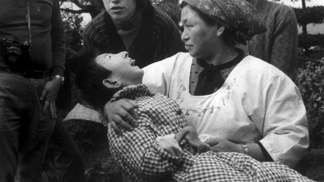 Fallo sobre enfermedad de Minamata.