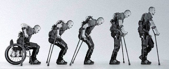 Les exosquelettes