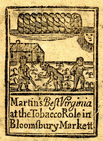 The first successful tobacco crop was grown and harvested by John Rolfe in Virginia