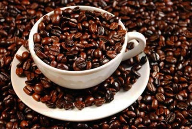 El establecimiento de la industria cafetera.