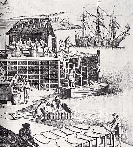 1497 - Cod Fishing