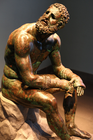 Seated Boxer
