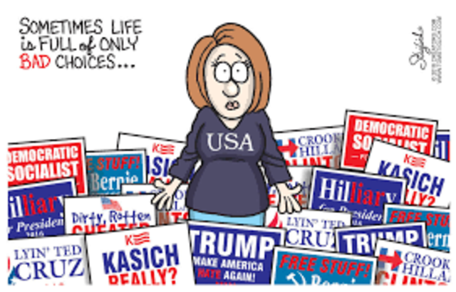 Third Party Politics