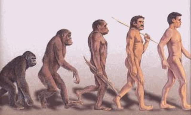 Homo Sapiens