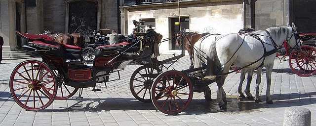 Horse and Carriage