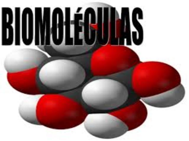 Clasificacion de las biomoleculas