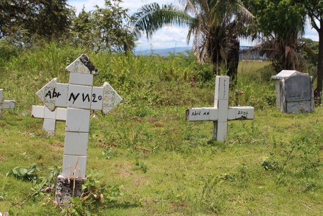 MASACRE DEJA CUATRO MUERTOS EN EL CORREGIMIENTO DE AMOYÁ