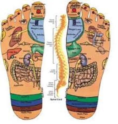 Publicación de Terapia Zonal