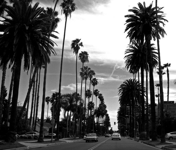 Amir and Baba Move to California