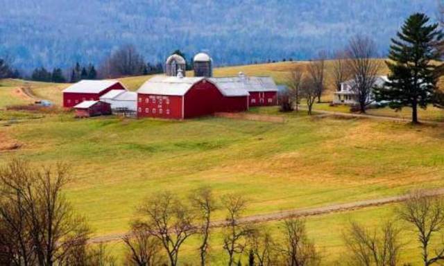 Traslación obligada