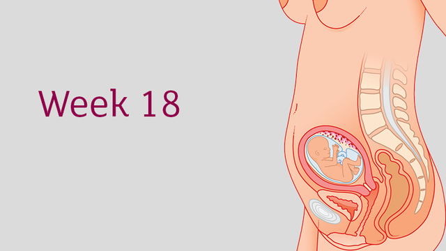 Week 18